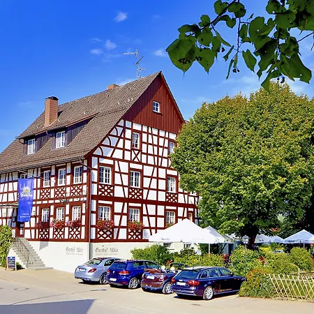 Hotel-gasthof Adler 호텔 3*