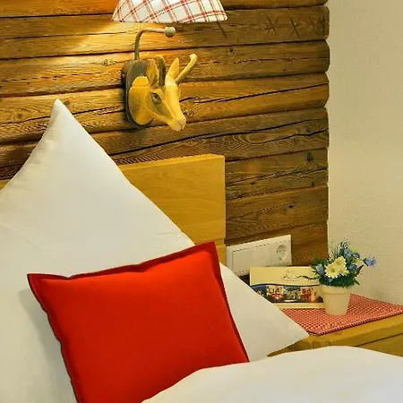 호텔 Hotel-gasthof Adler 린다우
