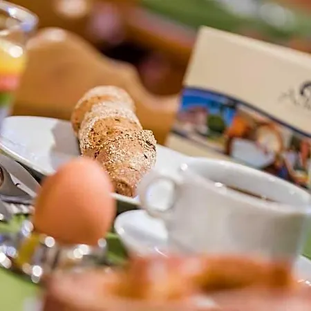 فندق Hotel-gasthof Adler لينداو