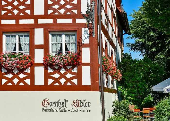 Hotel-gasthof Adler Hotel